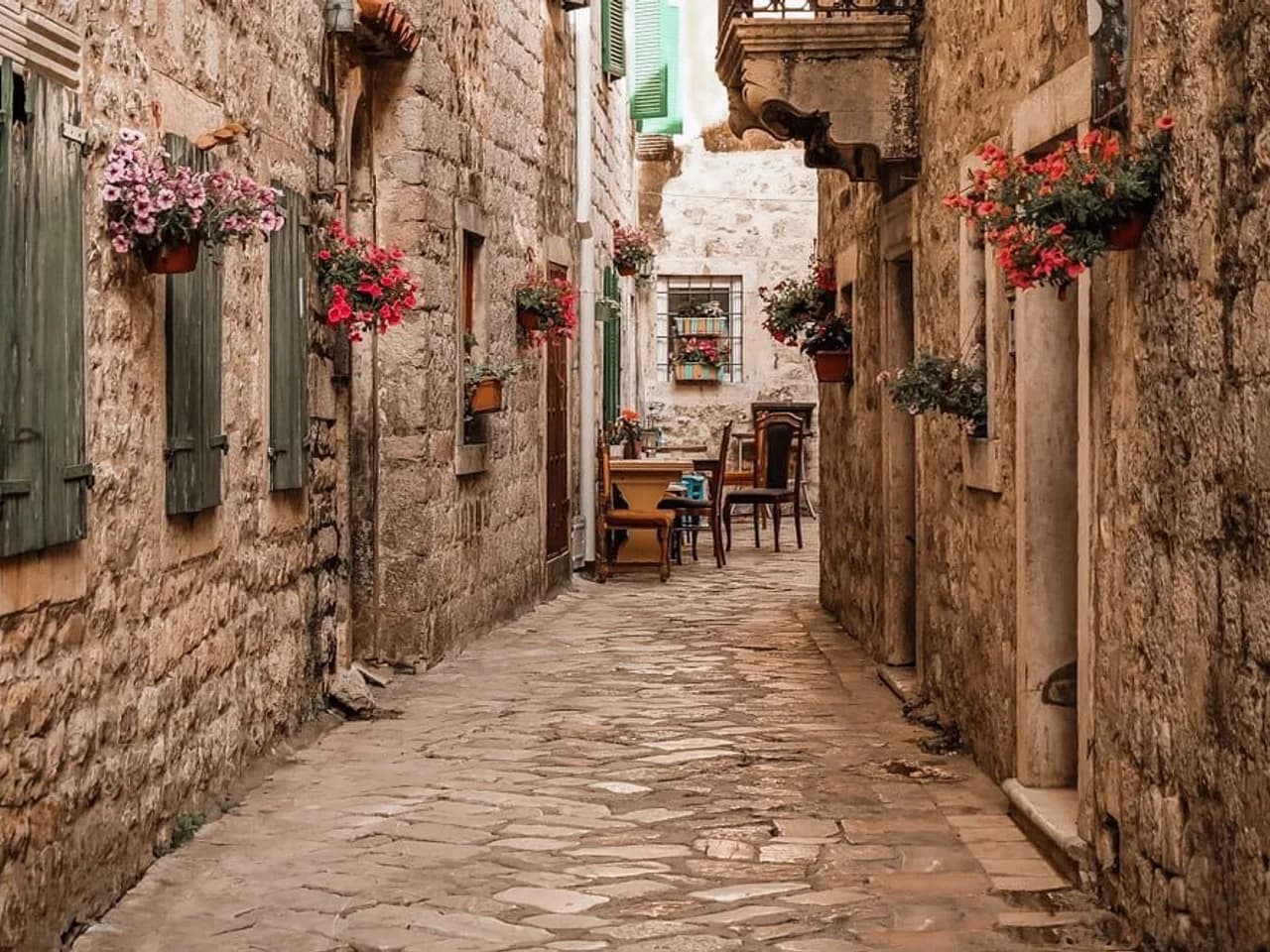 Kotor (nova adresa)