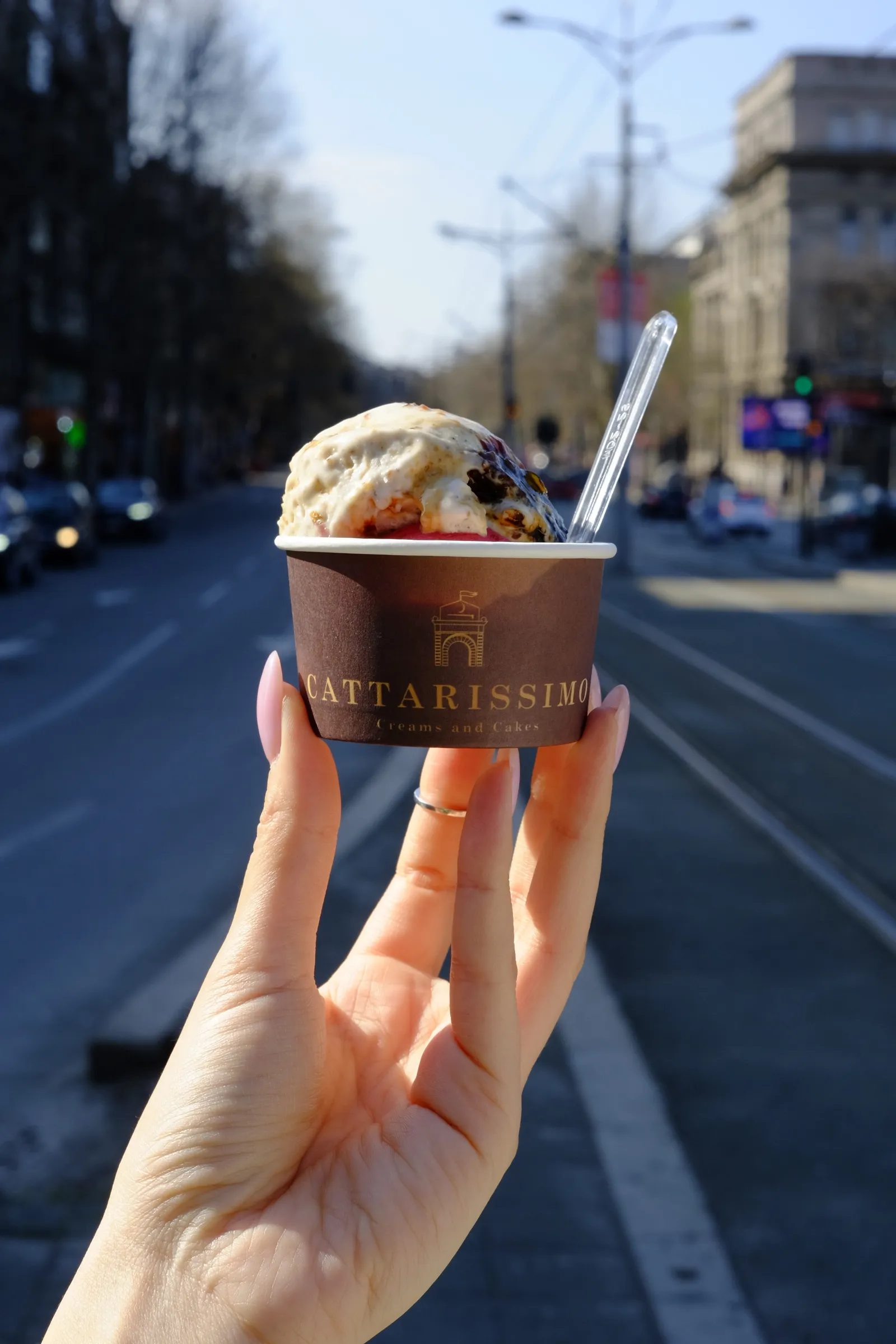 Cattarissimo front ice cream beograd